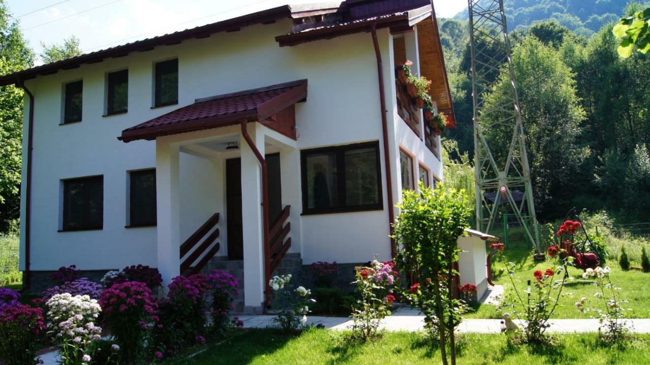 Cabana Nisipoasa Riu de Mori Exterior photo